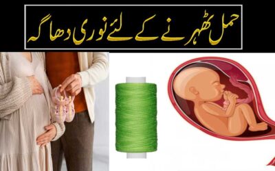 Hamal Tehrane K Liye Nori Dhaga