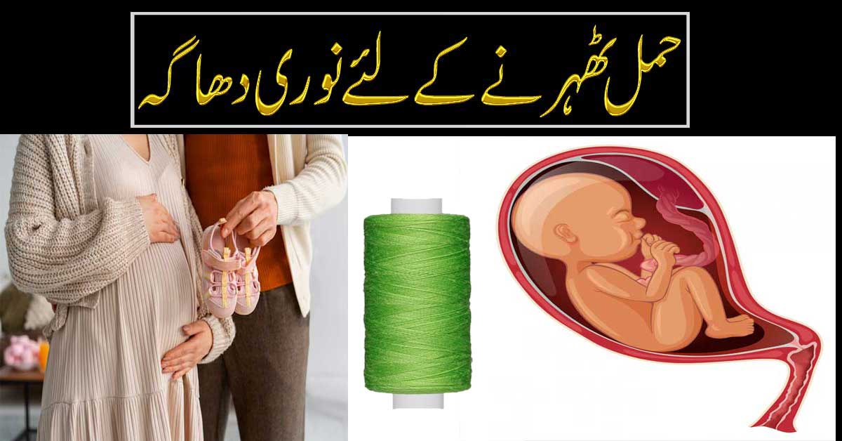 Hamal Tehrane K Liye Nori Dhaga