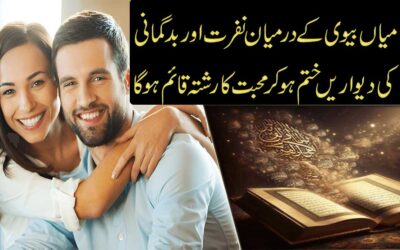 Mian Biwi Mein Nafrat Khatma Karne Ka Naqsh