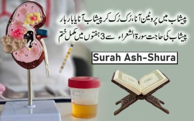 Protein In Urine Treatment